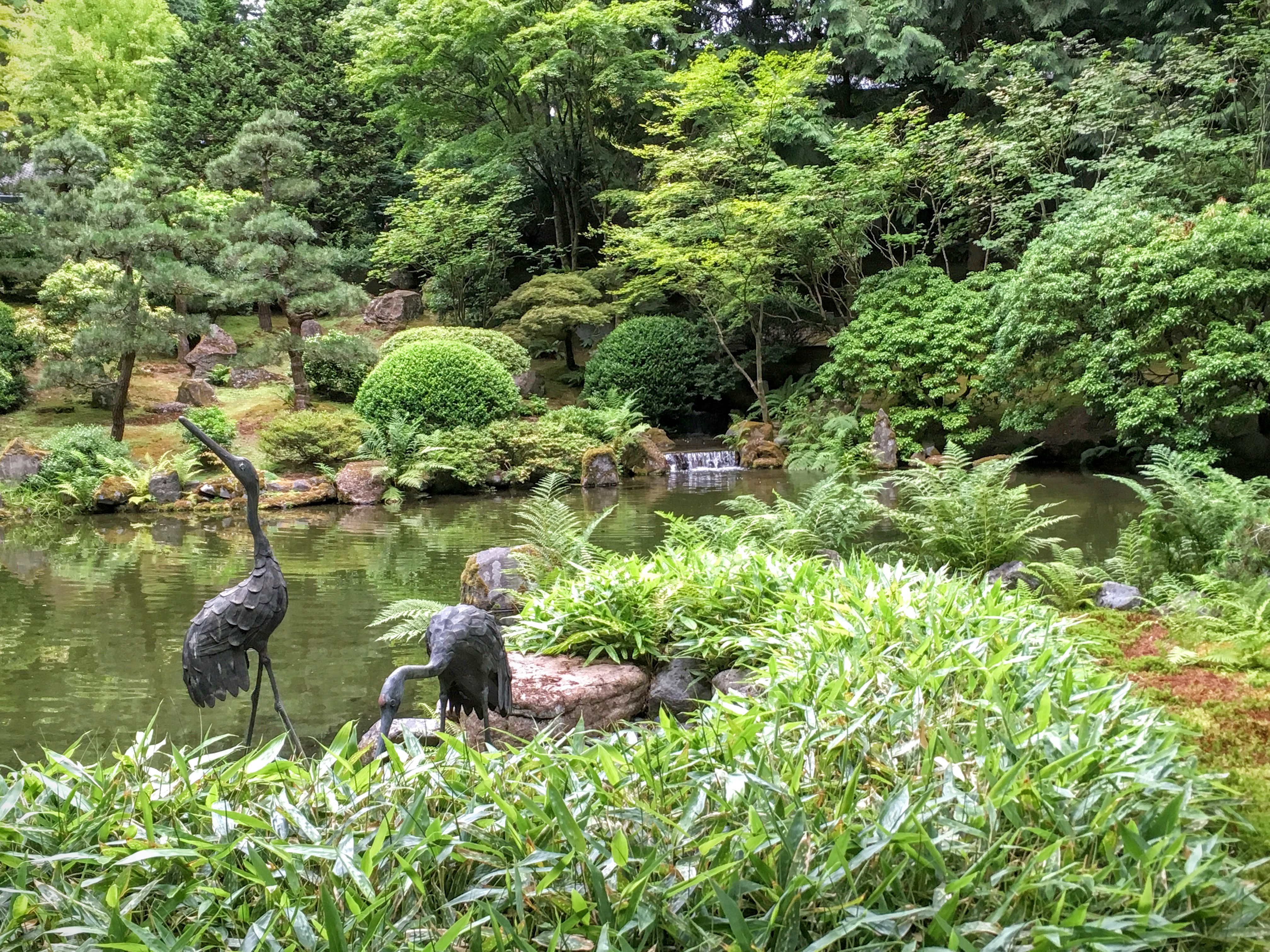 Reflecting Pond, Japanese Garden, Portland - The Cotas